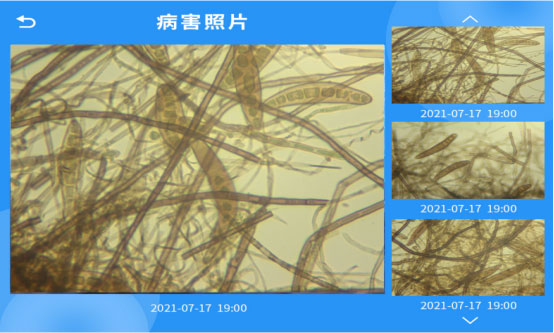 全自動孢子捕捉分析方案